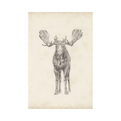 Moose Study 1 Piece Wrapped Canvas Painting