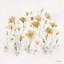 Fleurs sauvages III - jaune-1078343680-1088228745-1183634921
