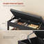 Shoe Storage-1063171396