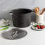 Verde 20 Qt Stock Pot With Lid