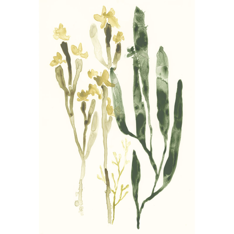 Kelp Collection IV by June Erica Vess - Wrapped Canvas Painting Print, Wrapped Canvas, 30cm H x 20cm W