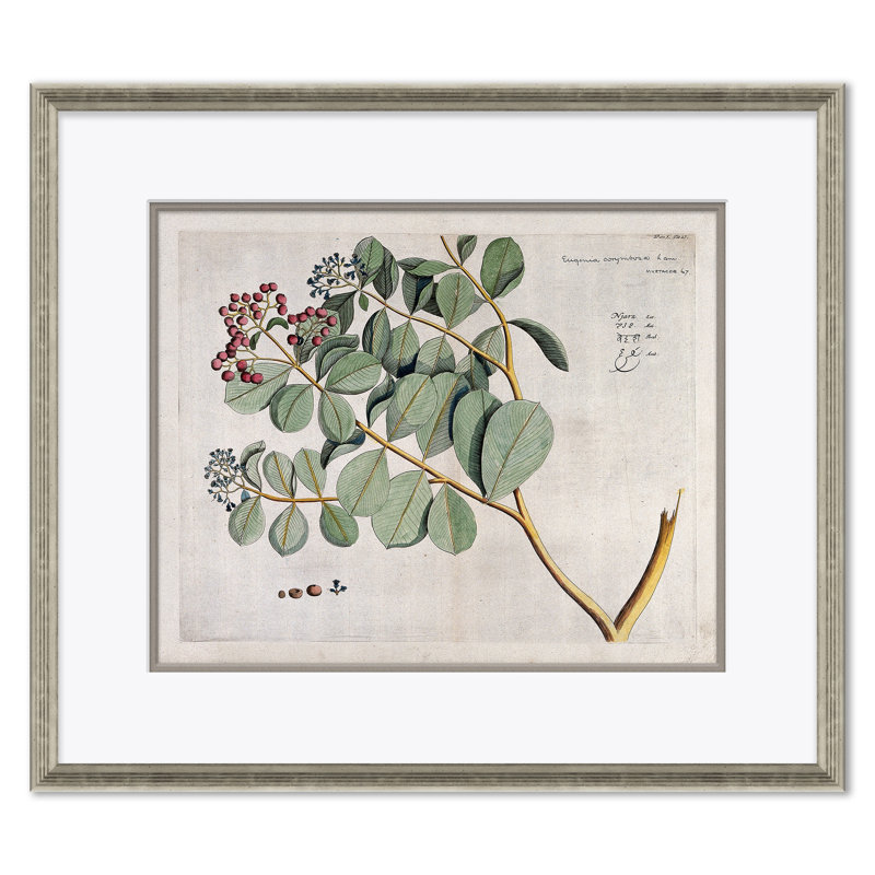 Malaberica (Colored) by Paul Cezanne - Picture Frame Painting Set on Paper