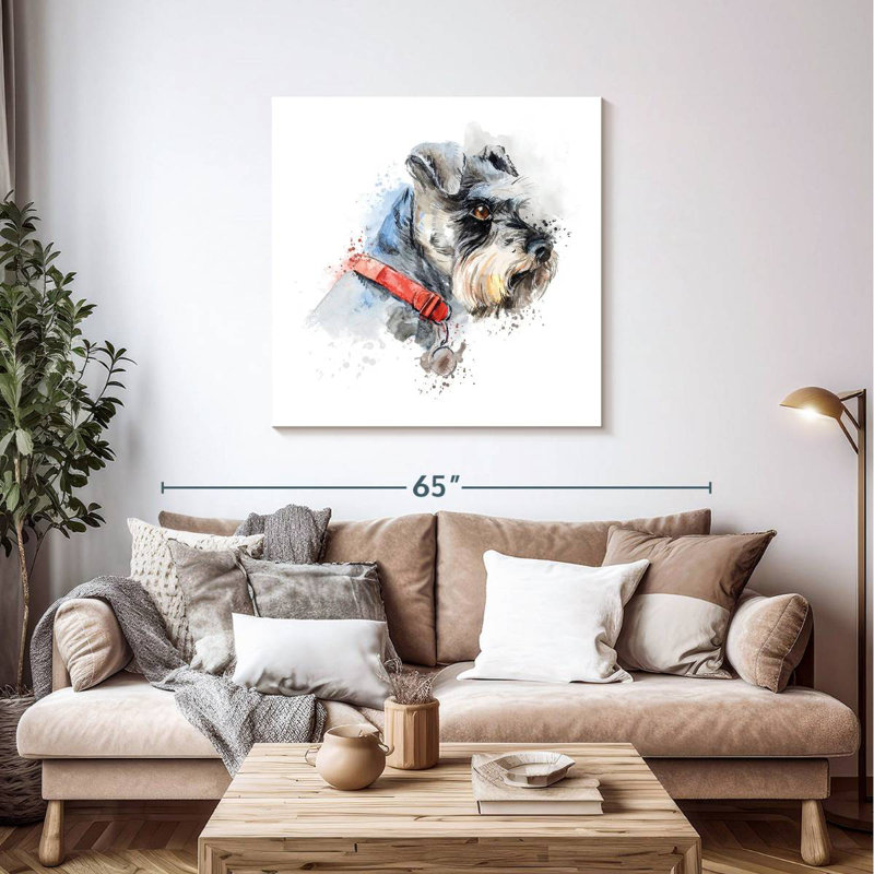 Crowle Schnauzer Splash