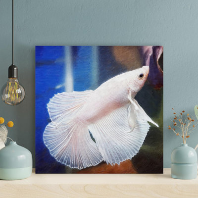 " White Betta Fish " Painting Print