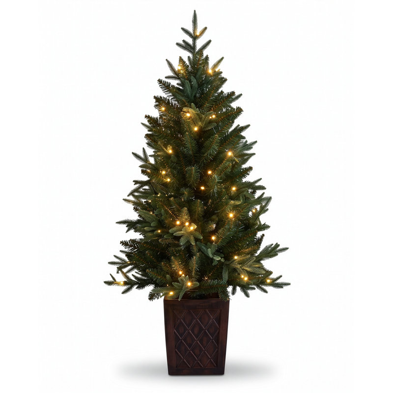 CONIFER - 4ft Porch Tree with 100 Warm White 8 Function LEDs