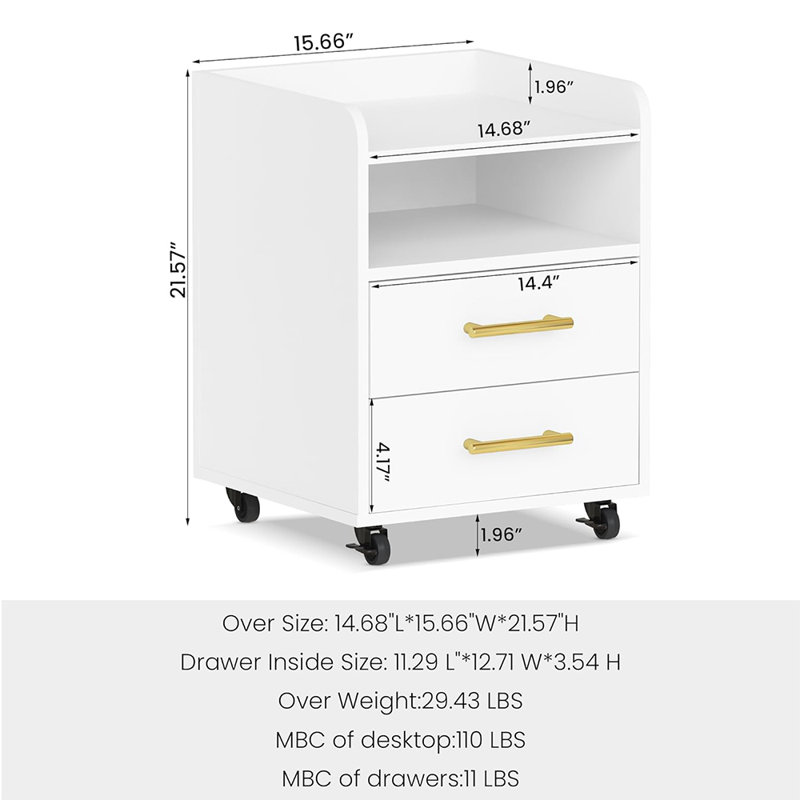 Gaisa 15.6 Wide 2 -Drawer File Cabinet