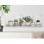 «Stop and Plant», reproduction d'art sur toile tendue-1324466185
