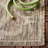 Carolino Performance Oriental Indoor/Outdoor Area Rug-492051070