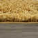 Reseda Geometric Shag Area Rug