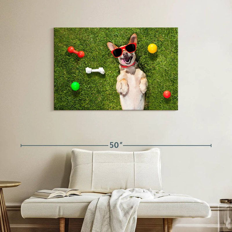 Ketti terrier chihuahua amusant, H 26 po x l 39 po