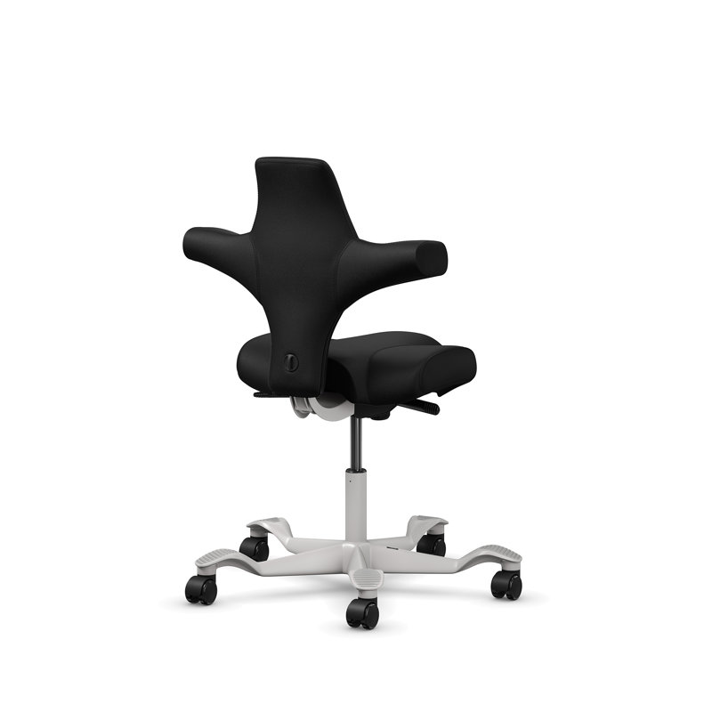 Chaise à hauteur standard réglable HœG Capisco, Standard, Argent argent, Noir onyx