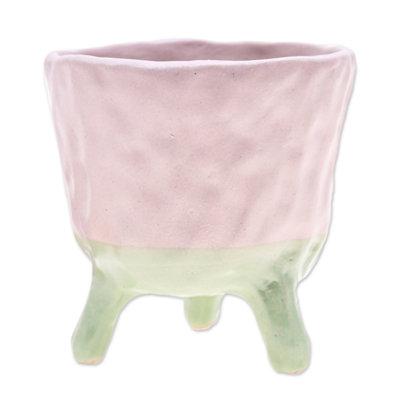 Clivia Handmade Ceramic Planter Box