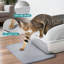 Litière pour chat en acier inoxydable avec couvercle, pelle et tapis, L 24 po x l 15,8 po x H 11,8 po-118104048