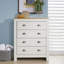 Anani 4 Drawer Wide Chest of Drawers-377217349