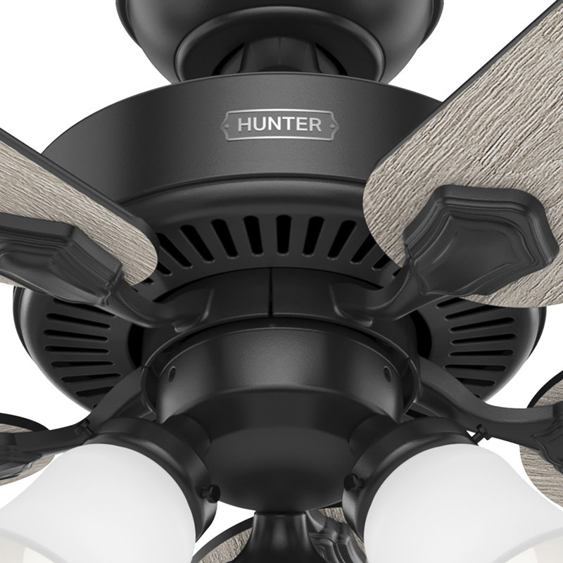 44" Swanson 5 - Blade Indoor Traditional Ceiling Fan with  Lights and Pull Chains, Matte Black, 52"