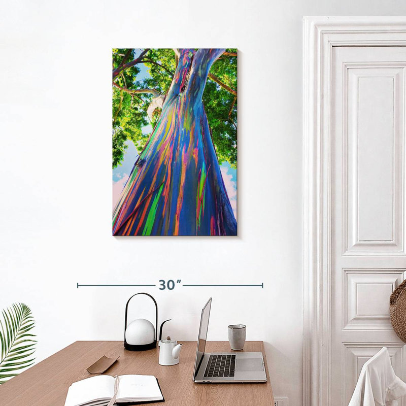 Eucalyptus hawaïen Harnek, H 30 po x l 20 po