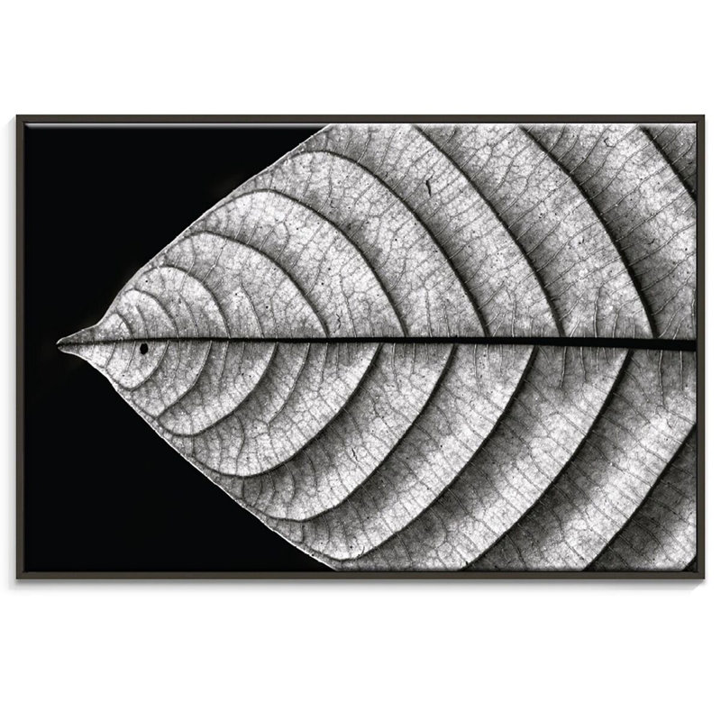 Print on Canvas, 51cm H x 76cm W, Black Floater Frame