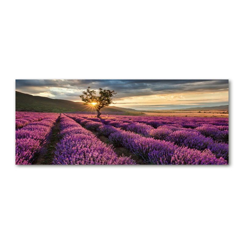 Lavender Field - Wrapped Canvas Print
