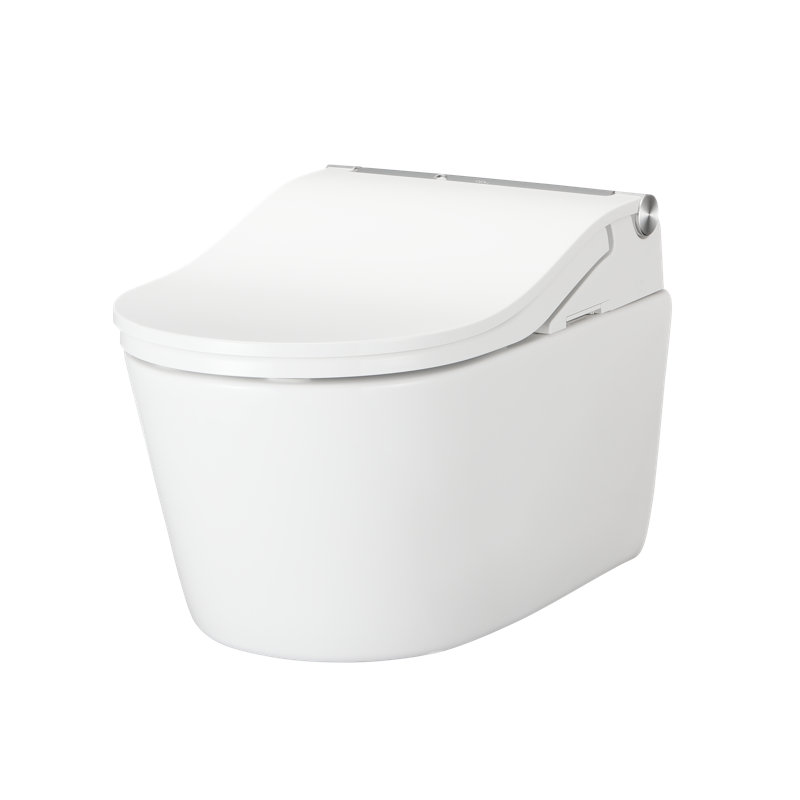 Dual-Flush Elongated Wall Mounted with Tornado Flush (Seat Included)