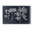 «Foliage On Navy VI», reproduction sur toile tendue-658963514