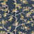 Navy selected