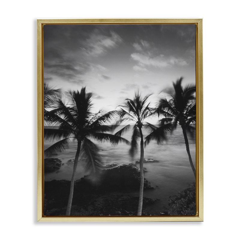 Cadre flottant avec palmiers, photographie de Carol Robinson, H 21 po x l 17 po, Cadre flottant métallique doré