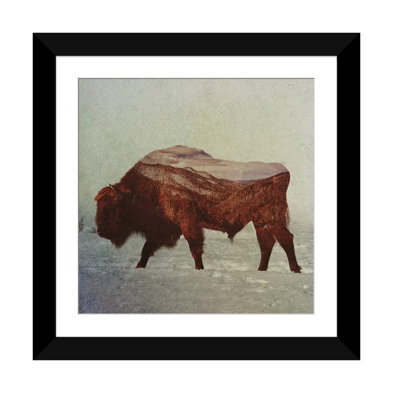 « bison ii », impression sur toile tendue, H 16 po x l 16 po x P 1 po, Papier d'art encadré noir, Blanc