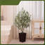 152.5cm Tree