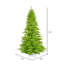 Lime Fir Artificial Christmas Tree withLED Lime Lights with Stand-1121411053-1180813166