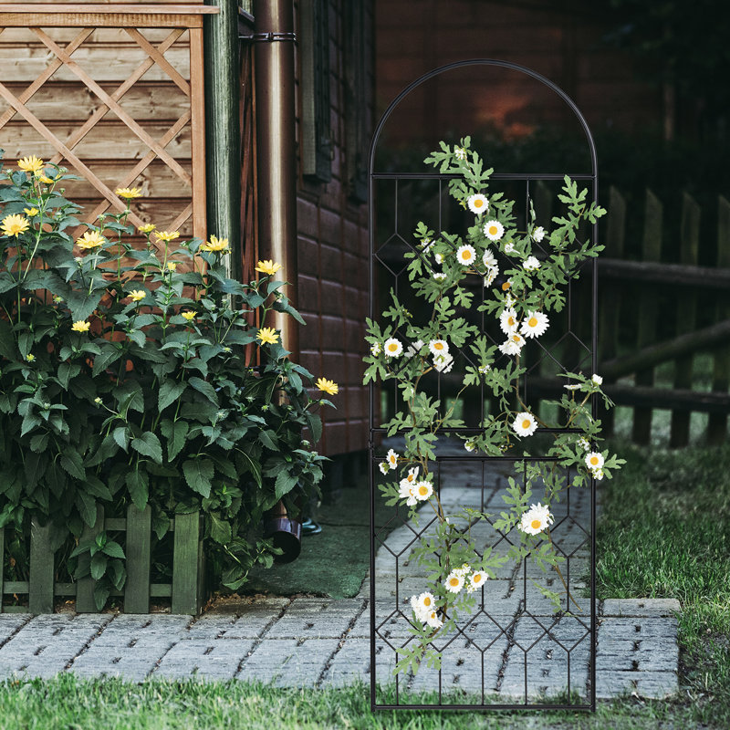 140.9Cm H x 43Cm W Metal Lattice Panel Trellis