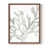 Brown Frame Paper n'est pas disponible