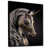 Black Floater Framed Canvas