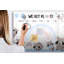 Magnetic Glass Dry Erase Board