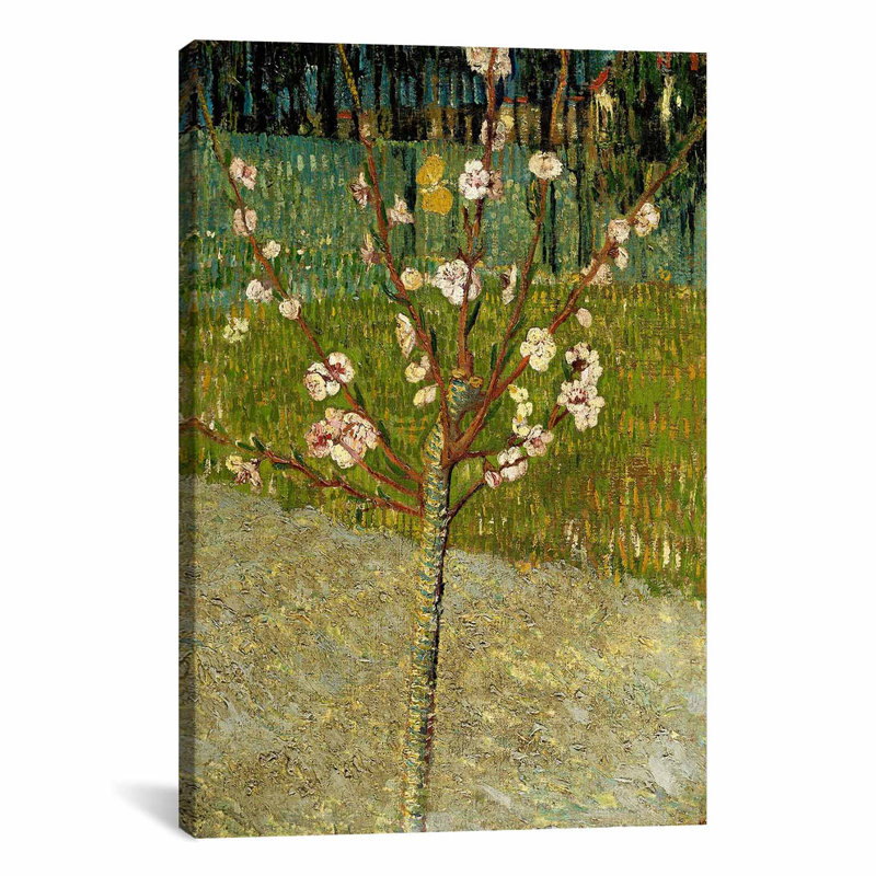 «Amandier en fleur» par Vincent Van Gogh, reproduction sur toile, H 12 po x l 8 po x P 0,75 po