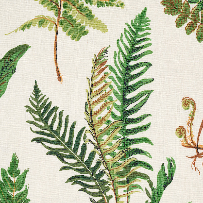 Les Fougeres Fabric, Document