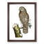 Clouded Owl by George Shaw - Framed Print-55621317-55621321