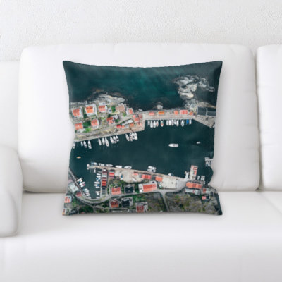 From an Airplane Throw Pillow