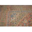 Traditional   Area Rug 10x12