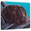 Brampt chocolat laboratoire dans la voiture-109214607