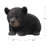 Baby Black Bear Crawling