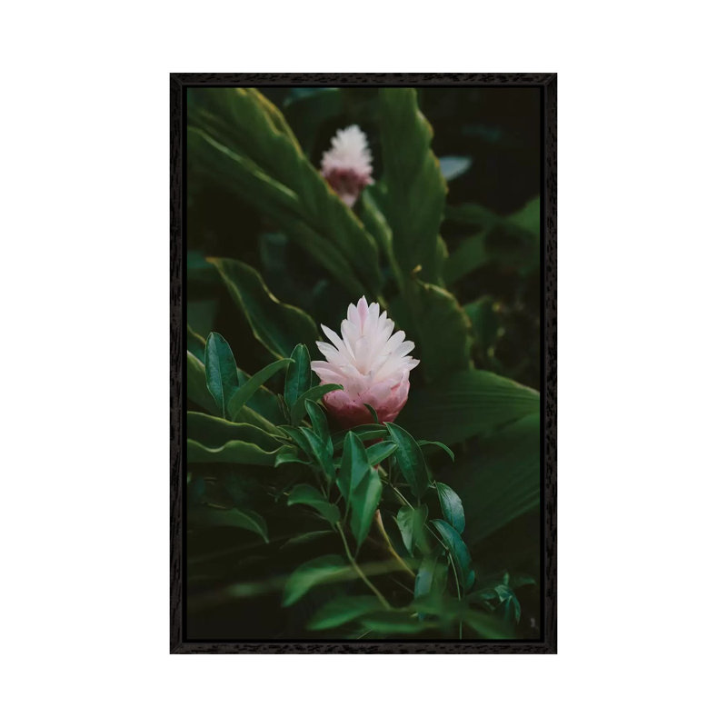 Tropical Hawaii IX 1 Piece Wall Art on Canvas, 66.04cm H x 45.72cm W x 3.81cm D, Black Framed