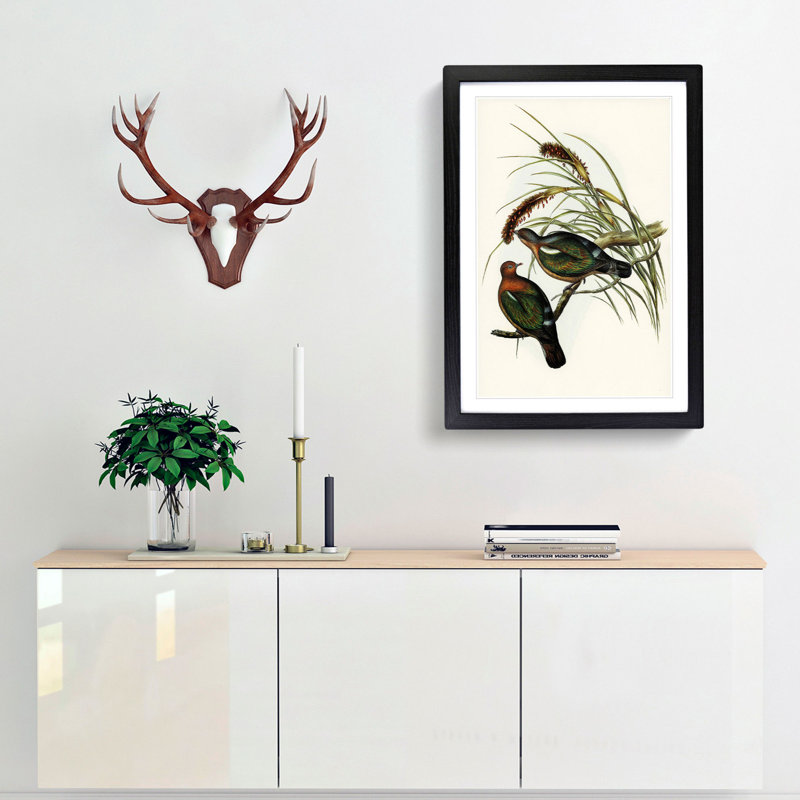 Little Green Pigeons by Elizabeth Gould - Picture Frame Painting Print, 36cm H x 27cm W x 2cm D, Black Framed