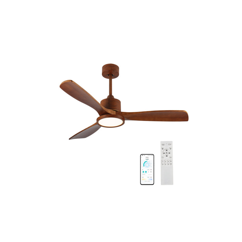 Ventilateur de plafond 52 po avec lumière