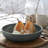 Costa Nova Casafina Pacifica Pasta Dish-92500466