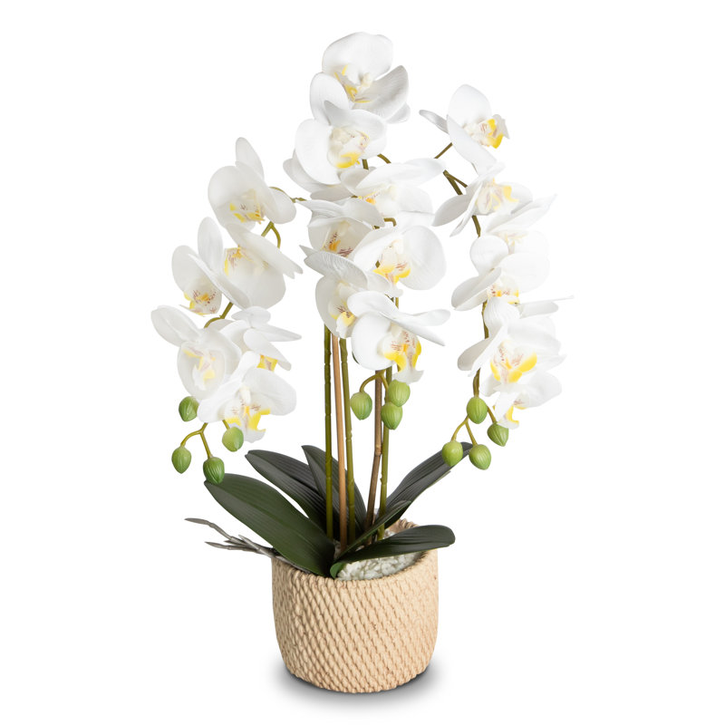 Faux Silk Orchid Arrangement In Pot