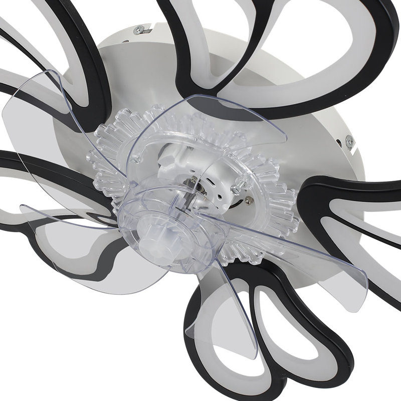 Ceiling Fan with LED Lights