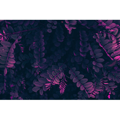 Purple Leaves Background by Jasmina007