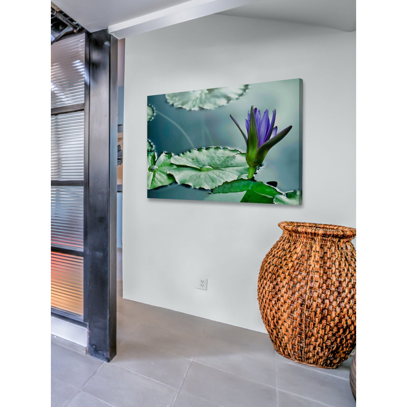 Lily On The Pond by Don Schwartz - Wrapped Canvas Print, 102cm H x 152cm W x 4cm D