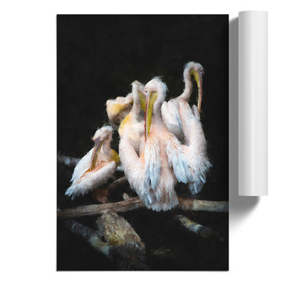 Pelicans - No Frame Print