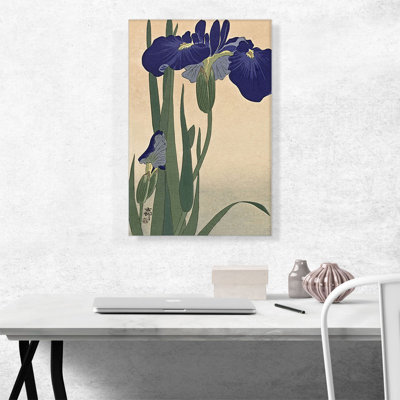 " Blue Iris "